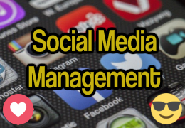 Social Media Management